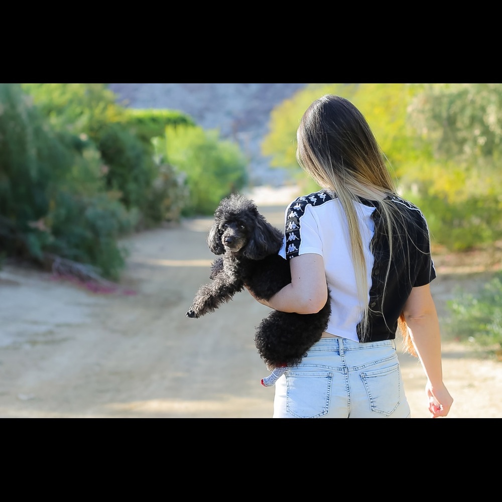 Meet your seller/buyer! ♠️🌈🐩💅🧟‍♀️🦄